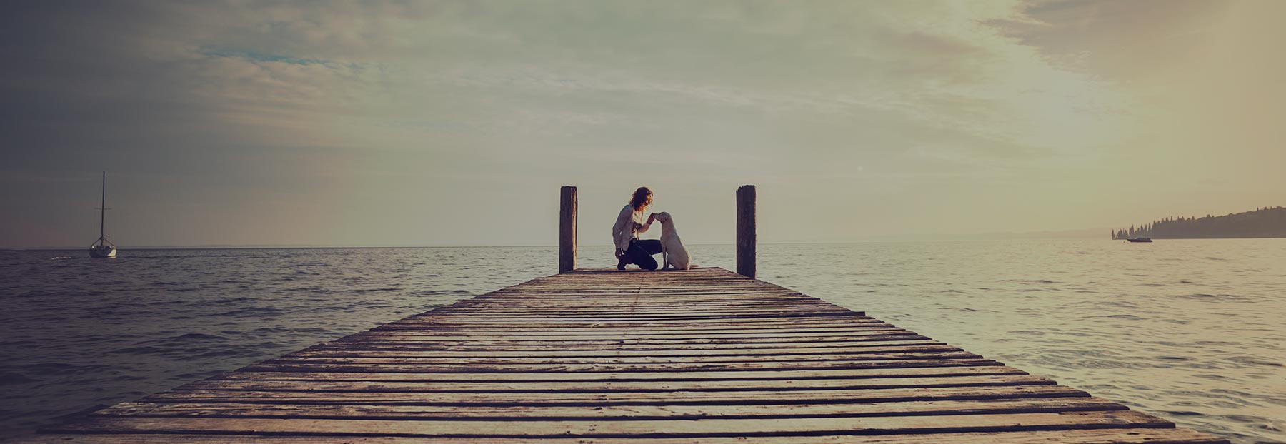 Person and their dog at the end of a pier