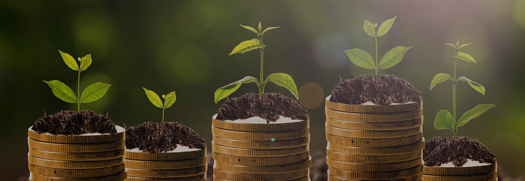 Stacks of coins growing small sprouted plants