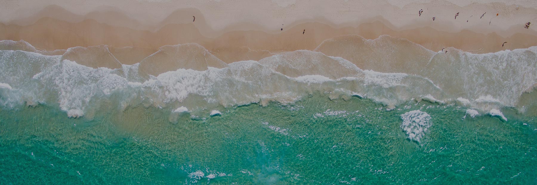 Aerial view of a beach
