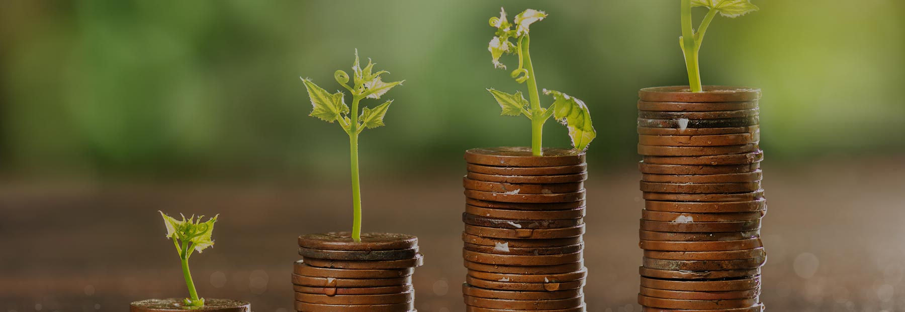 stacks of coins and small sprouts on top of them