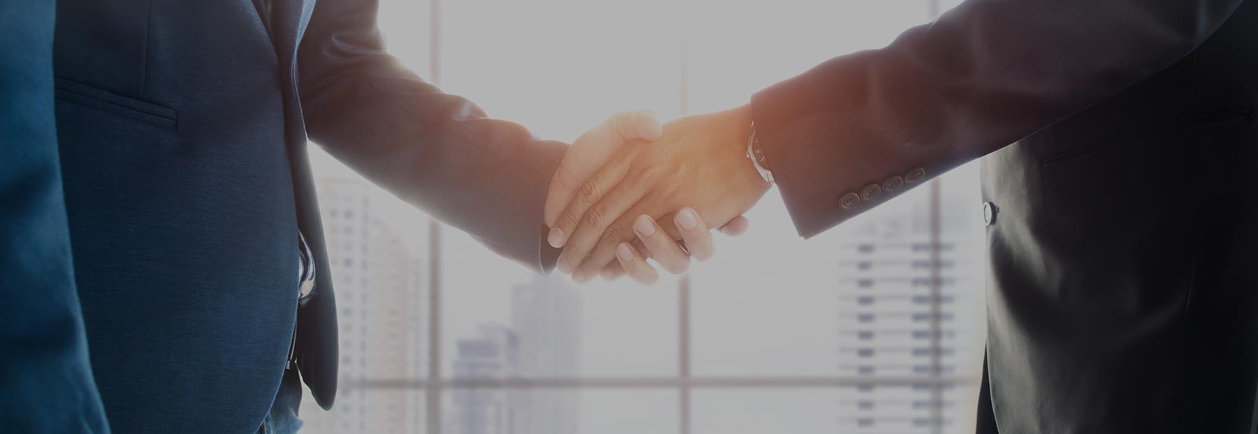 Close up of two professionals shaking hands