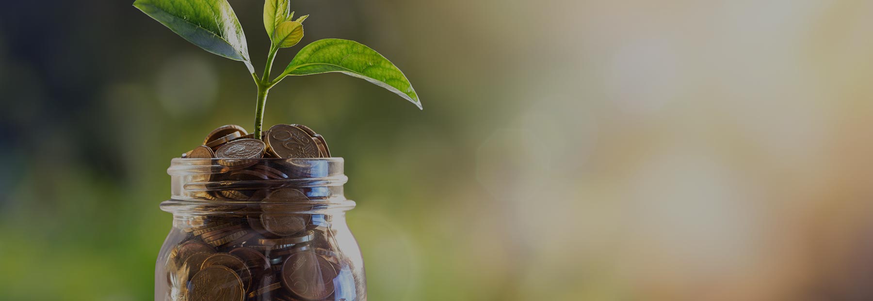 Close up of a jar of coins and small plant sprouting from the top