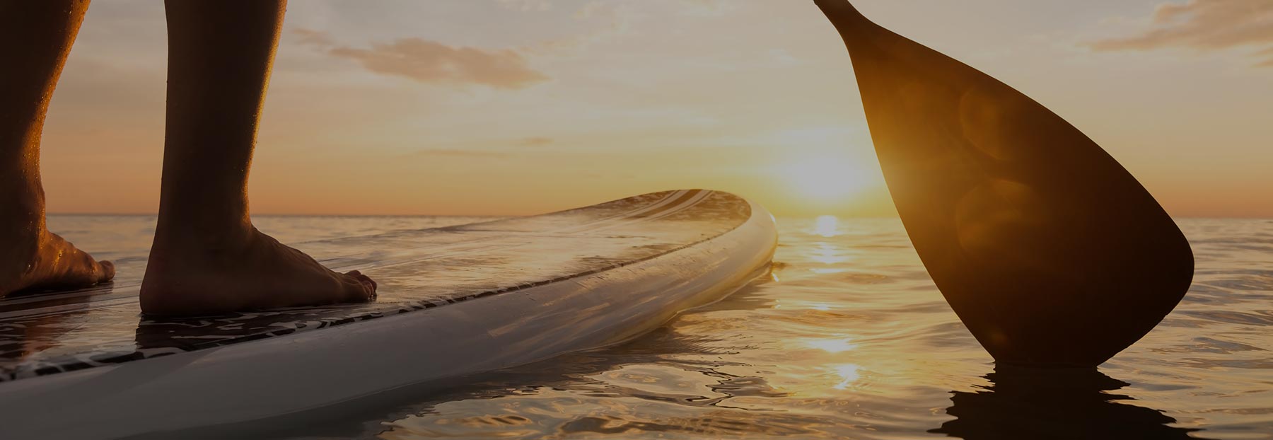 Close up of person on paddle board on water