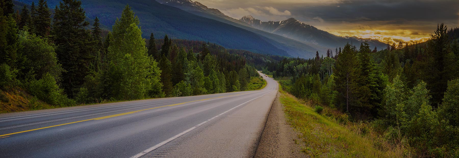 Scenic view of road leading to mountains in a forest of pine trees