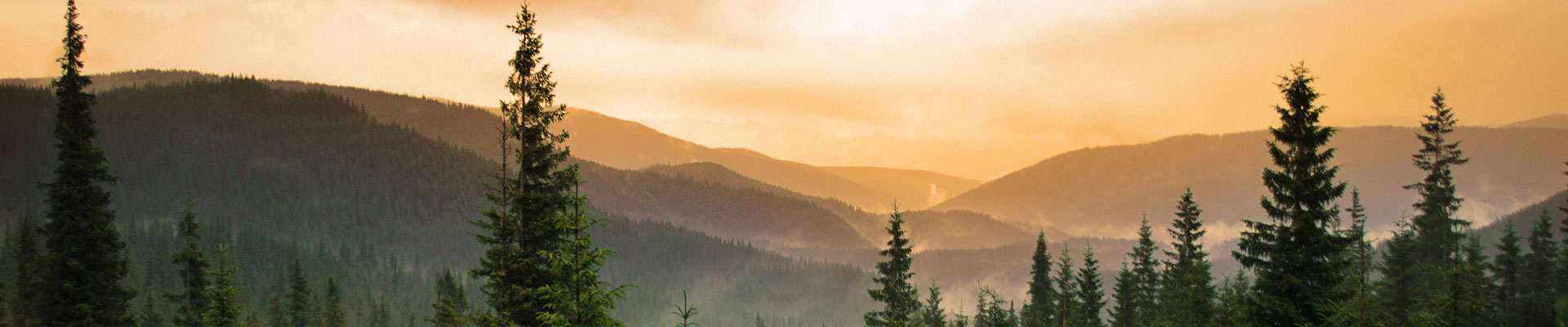 Scenic tree tops on mountains at dusk